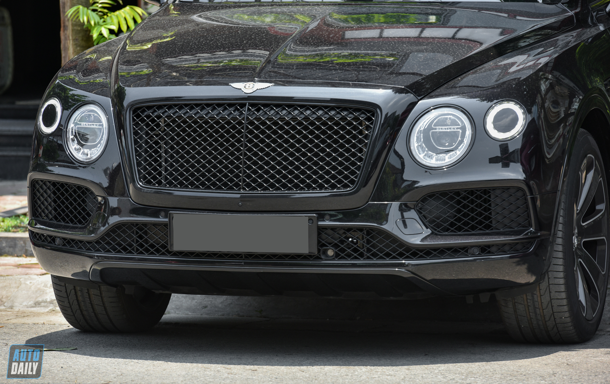 Ảnh Bentley Bentayga Design Series 2020 độc nhất Việt Nam dsc-7654.jpg