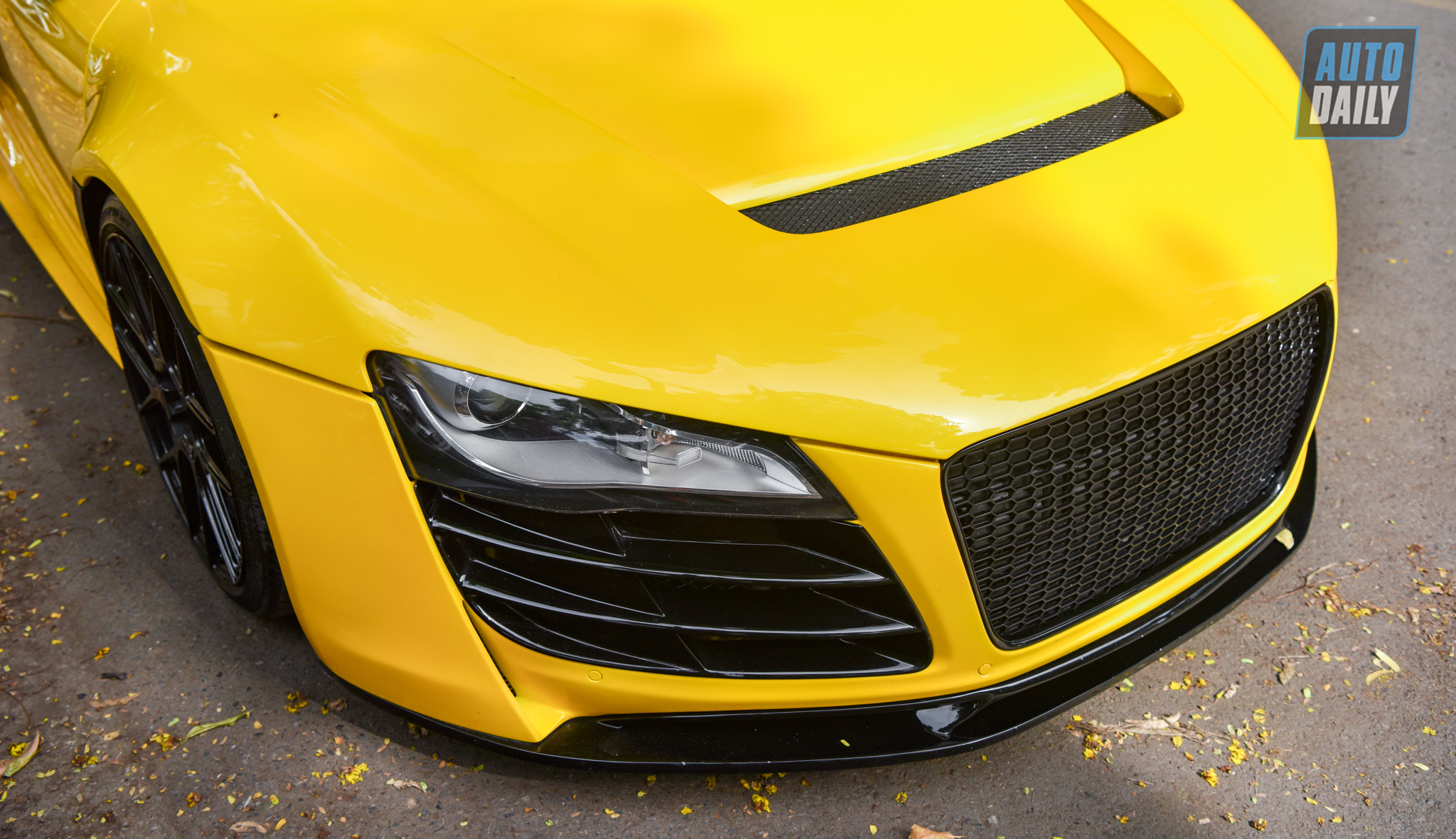 Audi R8 V8 12 năm tuổi xuất hiện tại Hà Nội dsc-9914.jpg