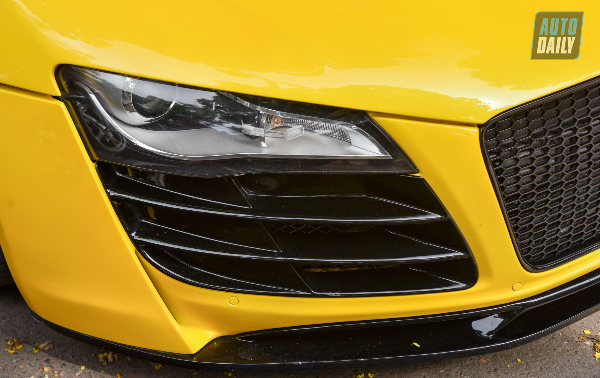 Audi R8 V8 12 năm tuổi xuất hiện tại Hà Nội dsc-9917.jpg