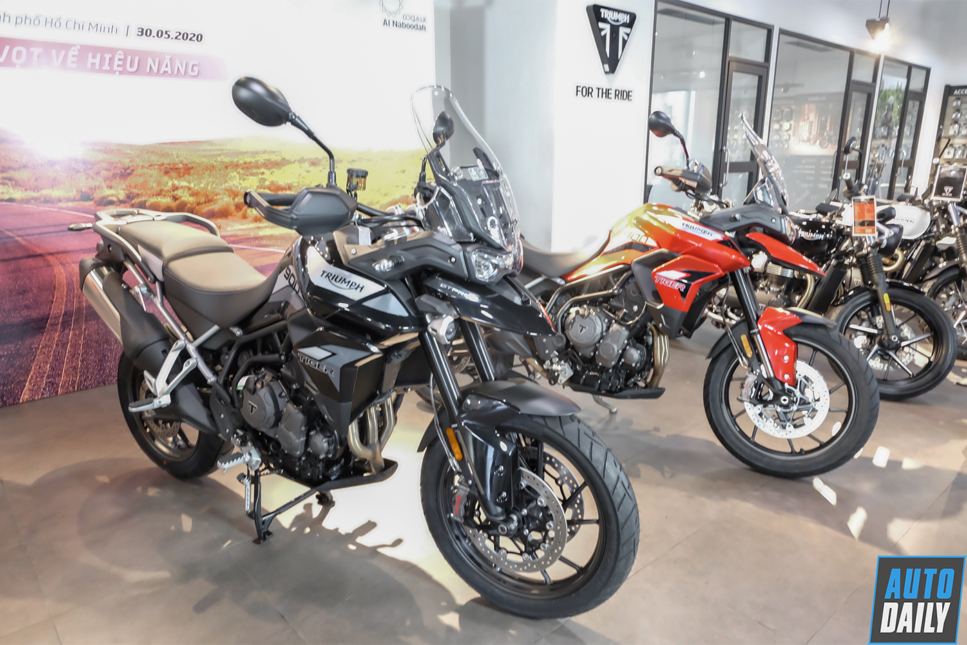 Ảnh chi tiết Triumph Tiger 900 GT Pro 2020 triumph-tiger-900-gt-pro-10.jpg