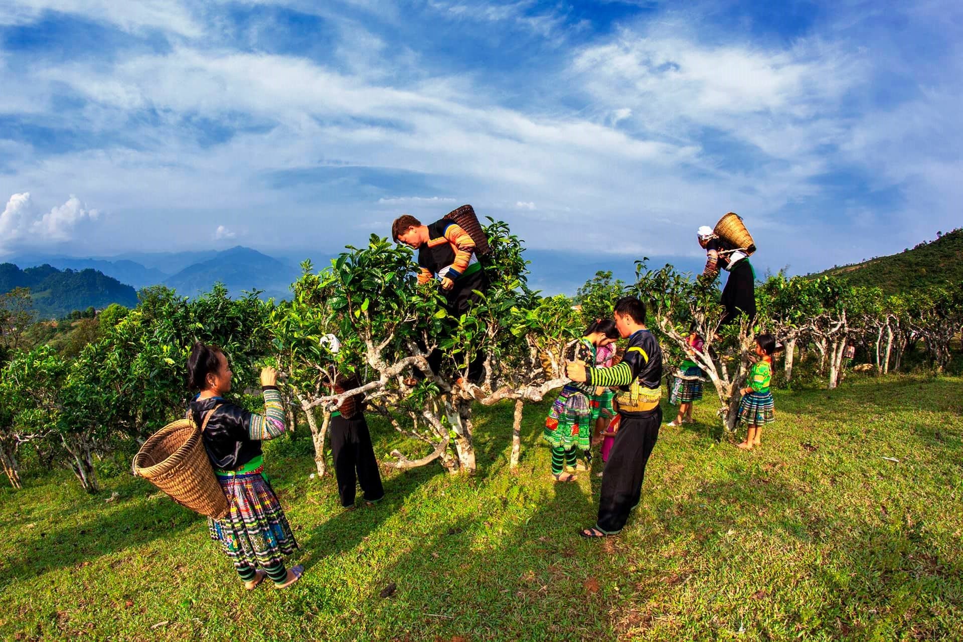 Trèo đèo lội suối săn mây Y Tý trên xế sang Land Rover doi-che-suoi-giang-yen-bai.jpg