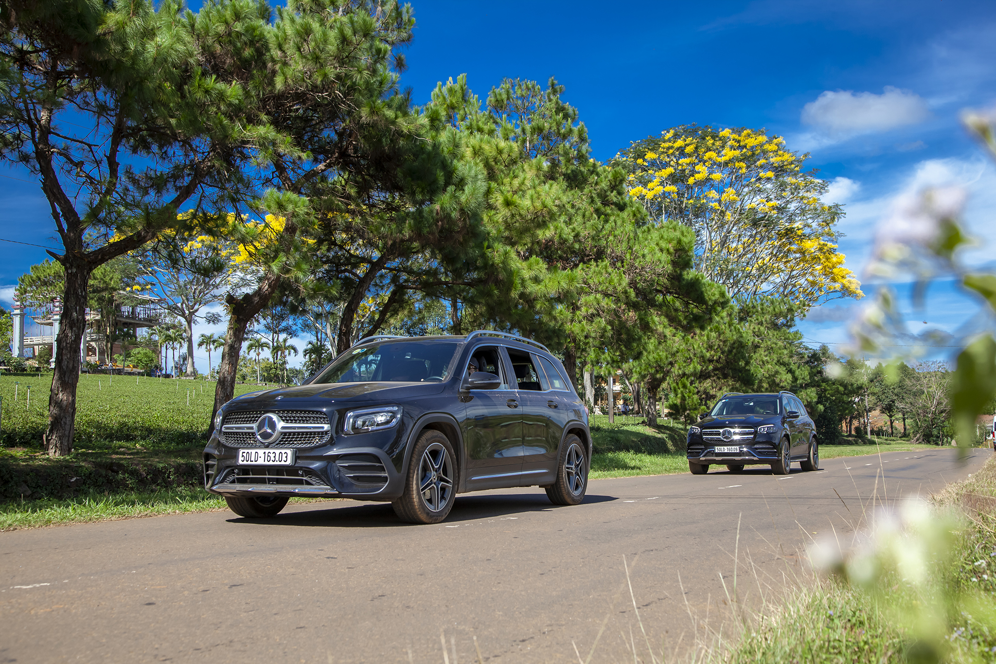 Mercedes-Heritage Photo Tour 2020: Du khảo giữa mùa hoa hoa-lim-set-autodaily-4.jpg