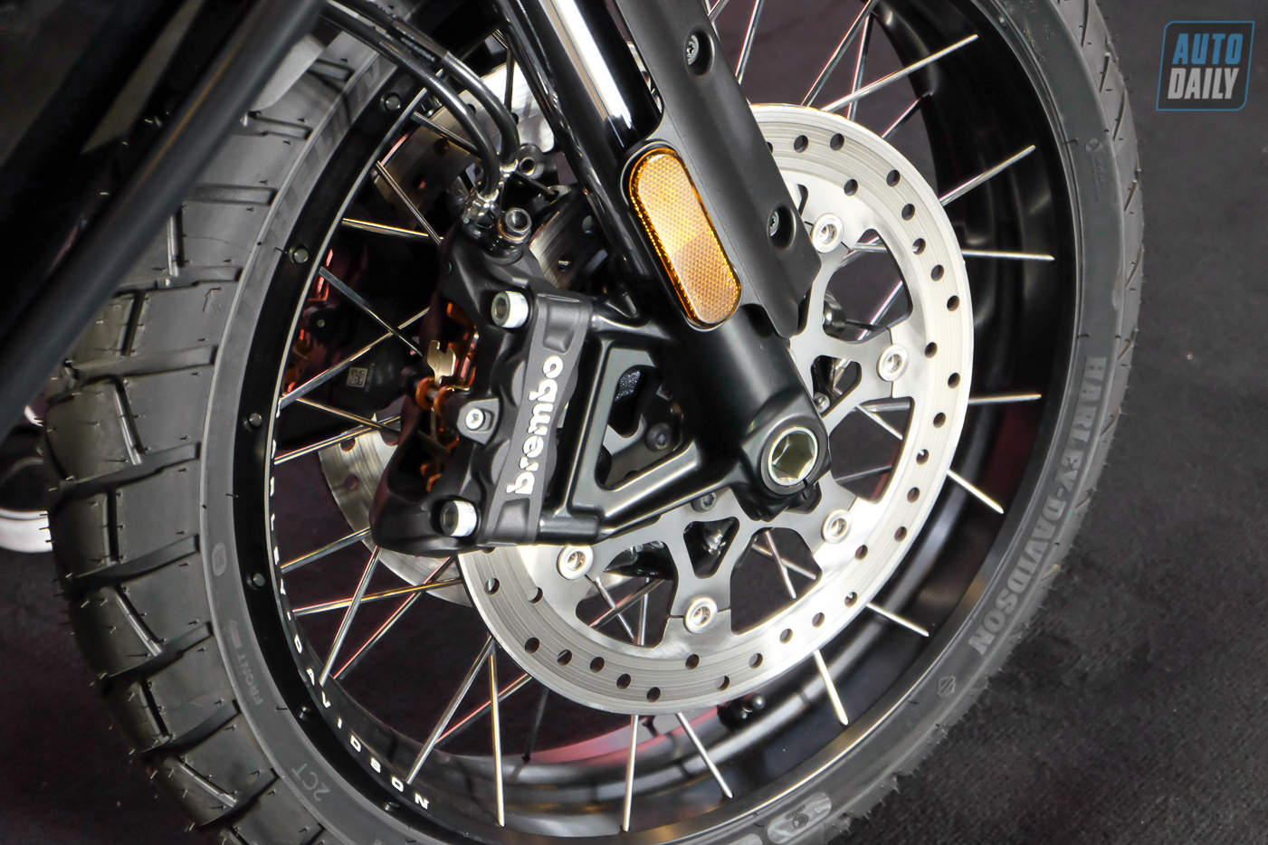 Harley-Davidson%20Pan%20America%201250%20Special%20(29).jpg