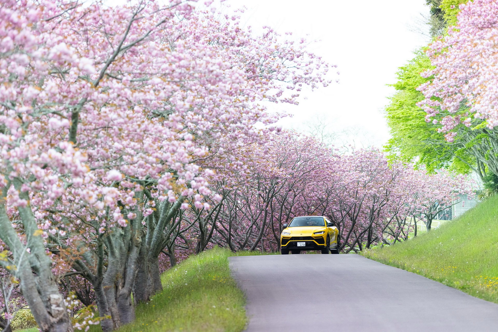 Hành trình khám phá vẻ đẹp đất nước Nhật Bản cùng Lamborghini Urus lamborghini-urus-japan-road-trip-3.jpg