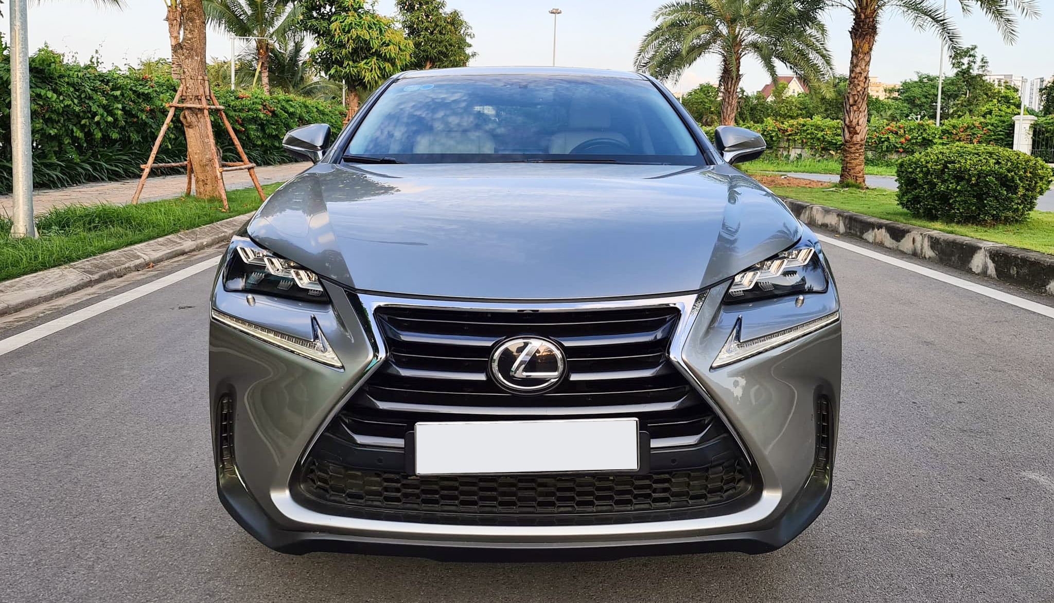 lexus-nx-200t-16.jpeg