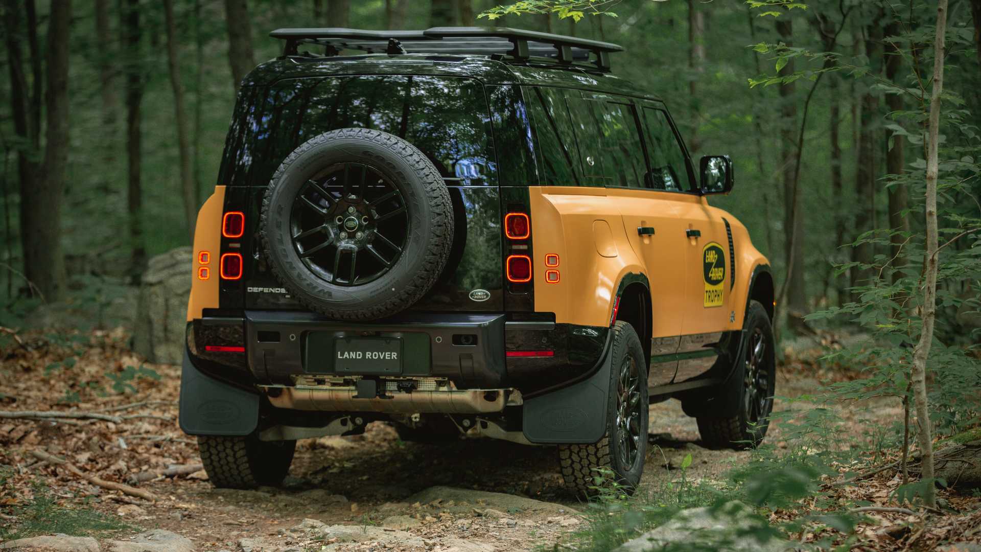 land-rover-defender-trophy-edition-rear-angle.jpeg