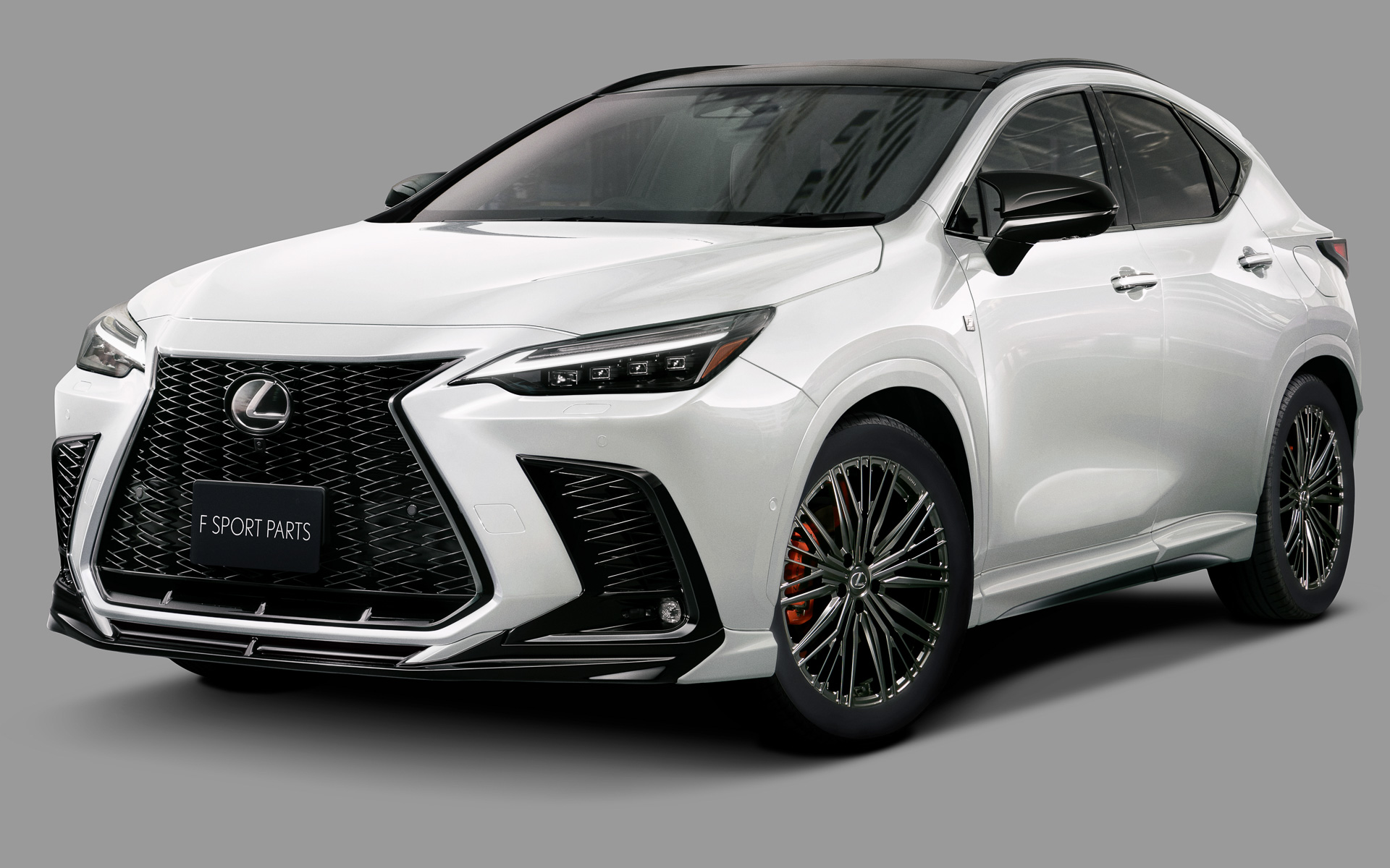 lexus-nx-trd-1.jpg