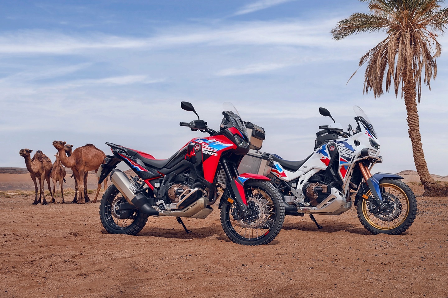 Honda Africa Twin 2024 launches with many notable upgrades Honda Africa Twin 2024 1.jpg