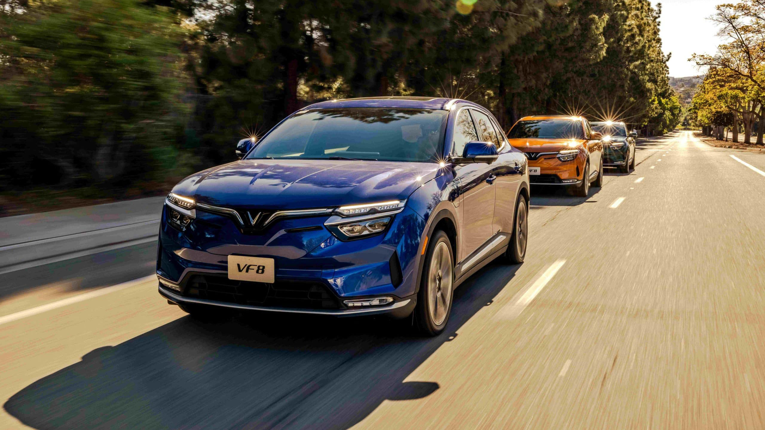 VinFast bàn giao gần 35.000 xe điện trong năm 2023 vinfast.jpeg