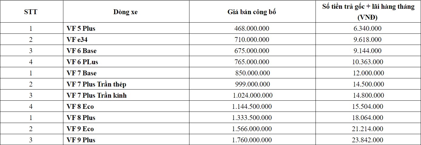 VinFast tung chính sách khủng, cơ hội vàng cho khách hàng sở hữu xe điện vinfast-03.jpeg