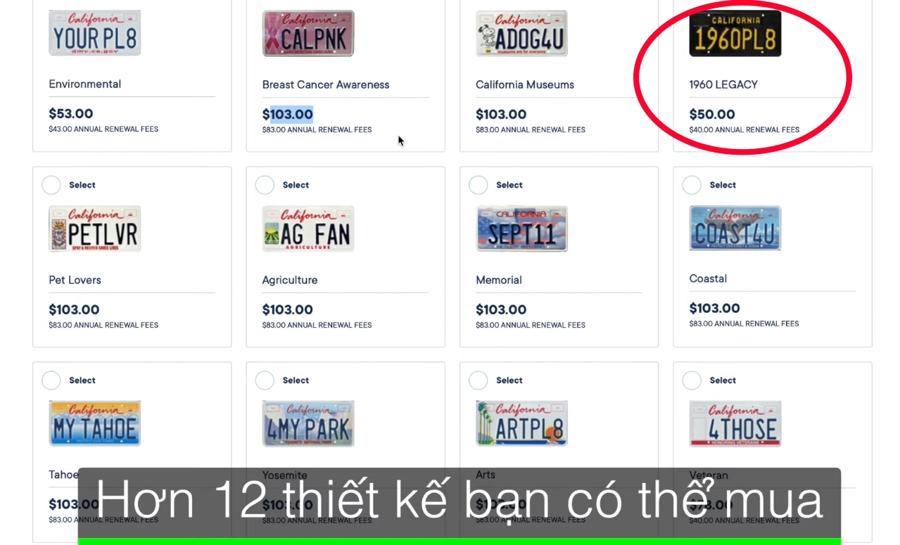 Gắn biển 'FROM VN' lên VinFast VF 8, YouTuber Mỹ chia sẻ: 'Muốn đi phượt ai cũng nhận ra xe và mình đến từ đâu' bang-so-17090147372701495381897-1709021438896-17090214390461248208118-1.webp