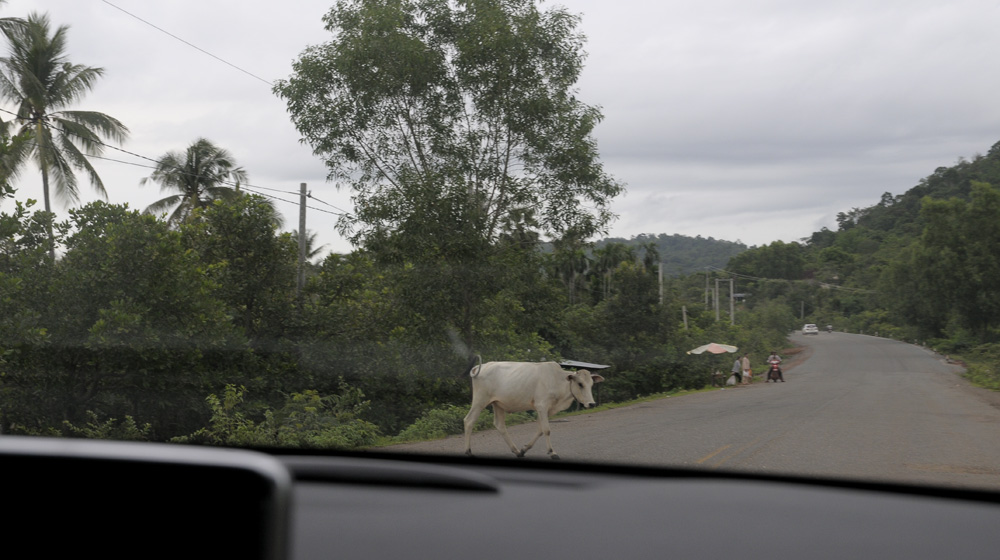 MBFC Caravan, ngày 1 -  Những ấn tượng đầu tiên trên đất Campuchia mercedes-benz-caravan-phuket (20).jpg
