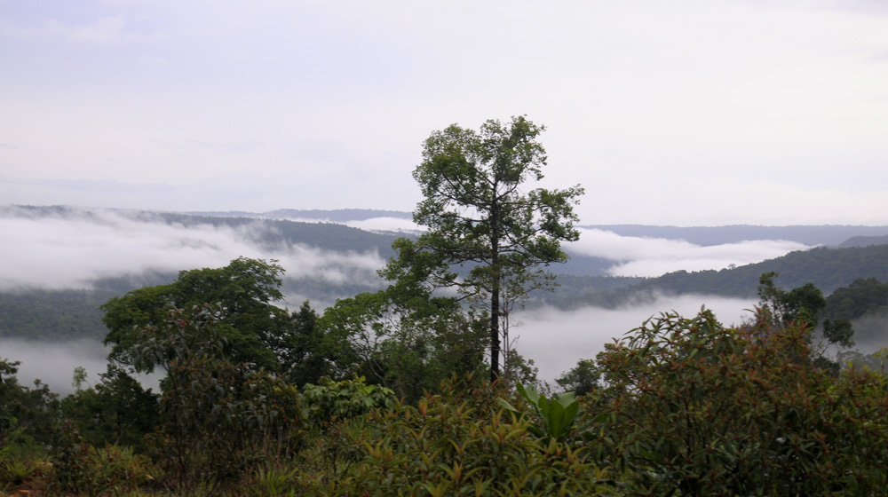MBFC Caravan, ngày 1 -  Những ấn tượng đầu tiên trên đất Campuchia mercedes-benz-caravan-phuket (35).jpg