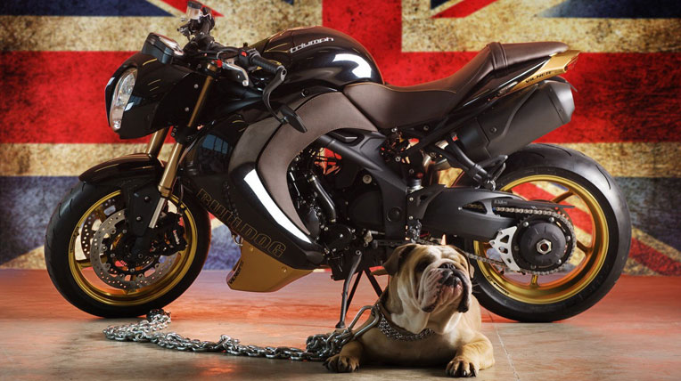 Triumph Speed Triple Bulldog