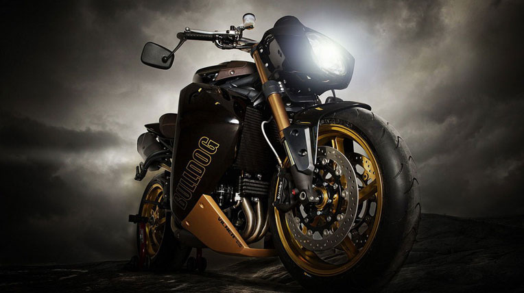 Triumph Speed Triple Bulldog