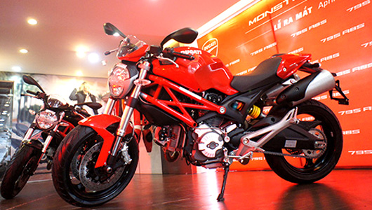 305  Ducati Monster 795 Model 2015