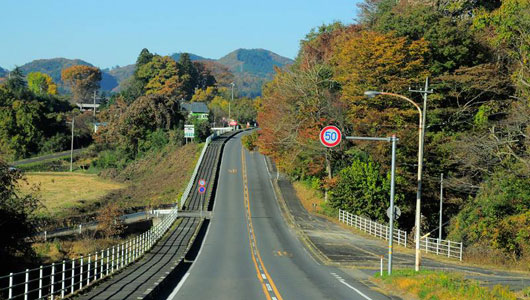 1462968_10152611036845353_242888413_n